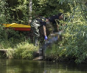 Poszedł na spacer i znalazł ciało. Koszmarny finał poszukiwań 61-latka