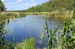 Jezioro Komosa obok miejscowości Krasne na Podlasiu