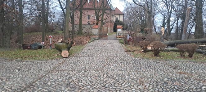 Potężne wichury przechodzą przez Małopolskę. Strażacy interweniowali ponad 120 razy