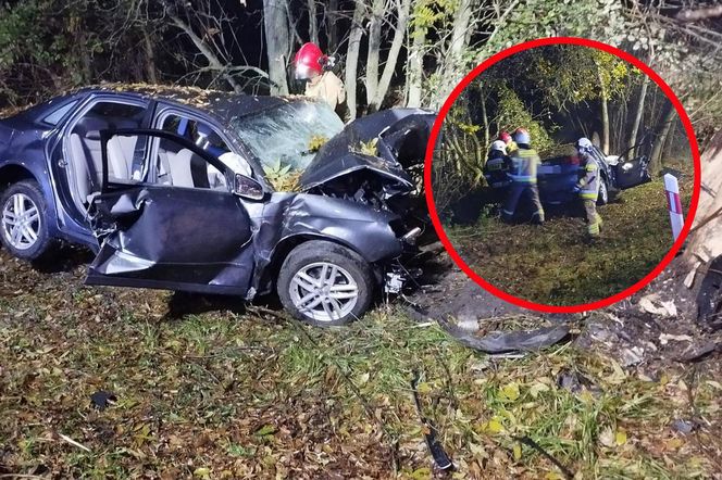 Śmiertelny wypadek pod Bełchatowem. 29-latka uderzyła audi w drzewo [ZDJĘCIA]