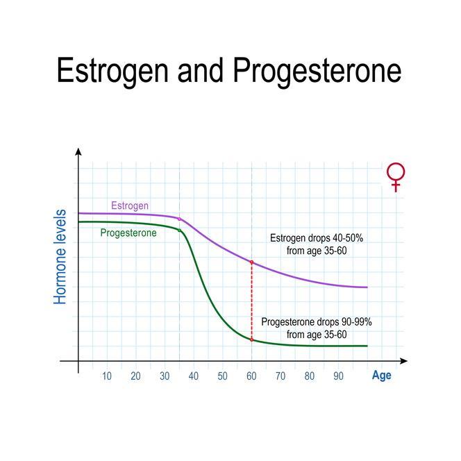 6. Estrogen i progesteron