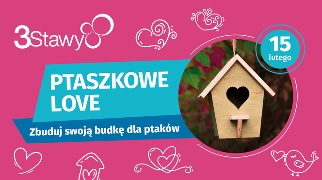 Nietypowe Walentynki w Katowicach. Mieszkańcy będą budować... budki dla ptaków [ZDJĘCIA]