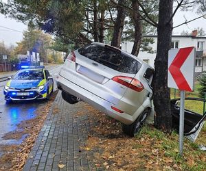 Pijany Ukrainiec rozbił auto na drzewie