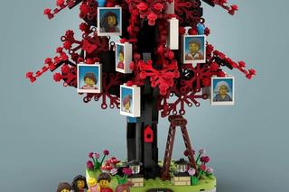 Drzewo genealogiczne (Family Tree - 21346)