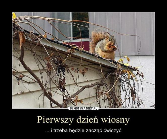 Memy na pierwszy dzień wiosny