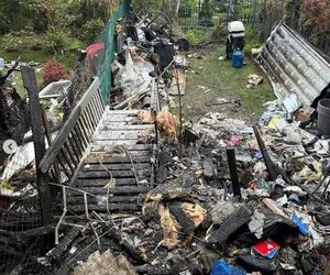 Magda Gessler prosi o pomoc