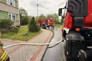 Pożar mieszkania w bloku przy ul. Marynarki Wojennej Tarnowie. Ewakuowano 30 osób