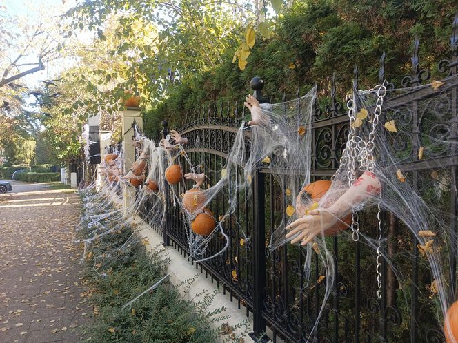 Willa na Jaśkowej Dolinie w Gdańsku znów straszy! Tegoroczny motyw Halloween budzi niepokój