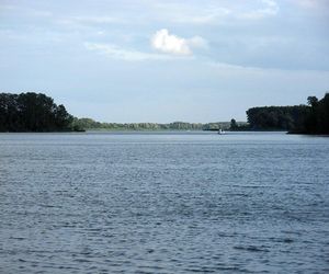 Gopło