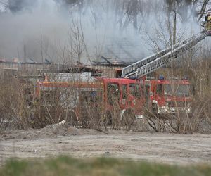 Pożar pustostanów przy ul. Grudziądzkiej w Toruniu. To nie pierwszy raz!