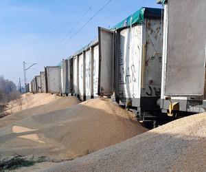 Za transport kukurydzy rozsypanej w Kotomierzu odpowiadała katowicka firma