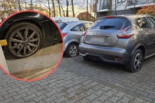 Zemsta za mandaty we Wrocławiu? Wandale zniszczyli prawie 100 aut