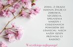 Kartka z życzeniami na imieniny Zosi