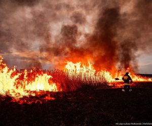 Pożar w Biebrzańskim Parku Narodowym