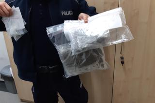 Nalot kryminalnych na działkę pod Toruniem. 27-latek odpowie za narkotyki