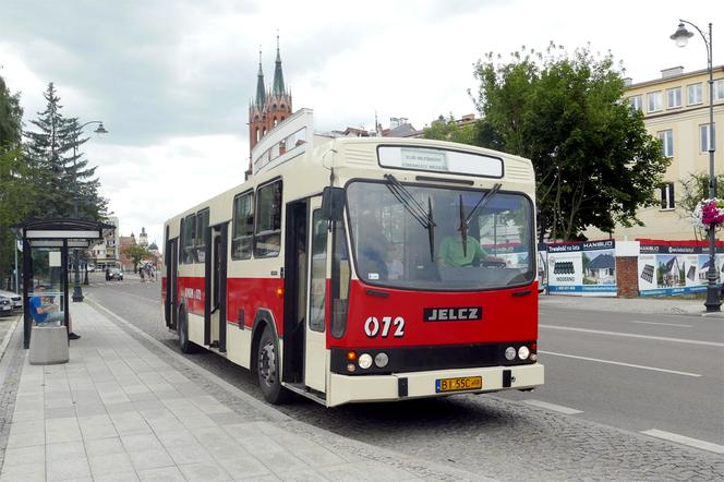 Białystok: Zabytkowe autobusy wracają na trasę. Jak przejechać się słynnym „ogórkiem”? 