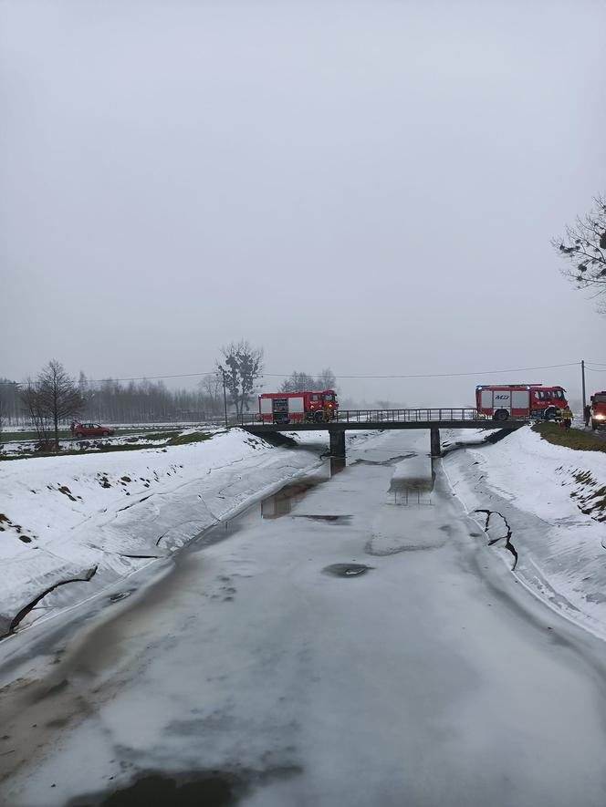  W wigilijny poranek strażacy z powiatu łęczyńskiego uratowali bobry, które utknęły na zaporze