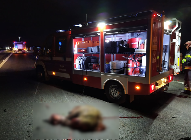 Wypadek na A4 pod Oławą