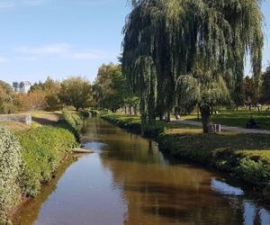To osiedle w Białymstoku jest najpiękniejsze! AI przekonuje: Zielone i kluczowe dla komfortu życia