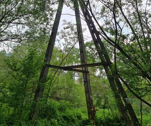 14-latek zginął rażony prądem. Dramat w Krośnie [GALERIA]