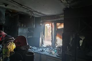 Bohaterska suczka uratowała nastolatka