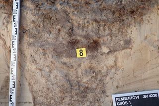 Szczątki co najmniej 18 osób na terenie jednostki wojskowej w Rembertowie. Wiadomo, kim mogą być ofiary