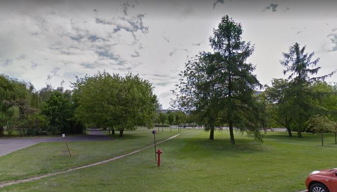 Park na osiedlu Bolesława Chrobrego