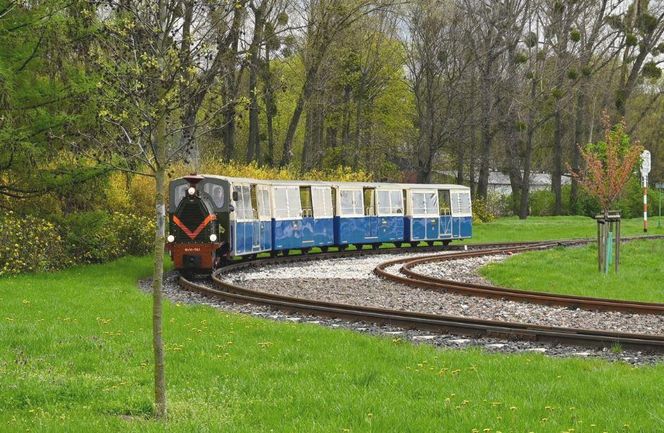 Kolejka Parkowa Maltanka