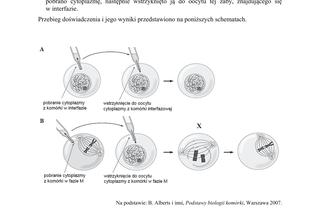 Matura 2018 z biologii [ARKUSZE CKE, ODPOWIEDZI]