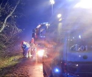 Śmiertelny wypadek pod Bełchatowem. 29-latka uderzyła audi w drzewo [ZDJĘCIA]
