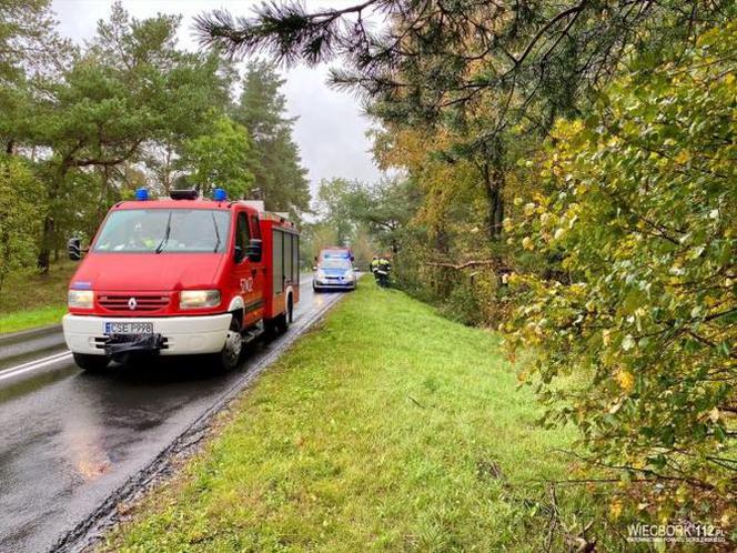 Groźny wypadek w Więcborku! Samochód wypadł z drogi i zatrzymał się na drzewie!