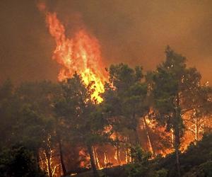 Uciekli przed ogniem, spali na trawnikach. Koszmar turystów z Polski na Rodos