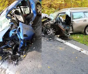 Dwie tragedie w ciągu 4 godzin. Dwie osoby zginęły pod Płockiem! [ZDJĘCIA]