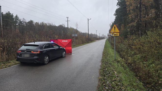 Zwłoki mężczyzny leżały w przydrożnym rowie. Makabryczne odkrycie pod Warszawą. „Pomiędzy torami, a drogą”