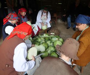 Tak ongiś siekano kapustę w woj. lubelskim. „Obieraczki kapuściane” w Muzeum Wsi Lubelskiej