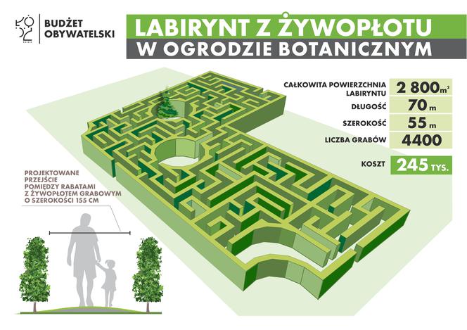 Labirynt z żywopłotu