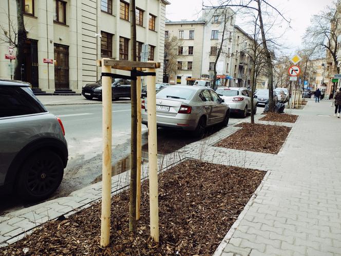 Nowe nasadzenia w Lublinie