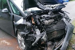 Tragiczny wypadek w pow. biłgorajskim. Starsza kobieta zginęła na miejscu 