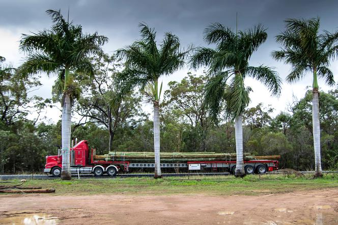 Pociągi drogowe to podstawa australijskiego transportu