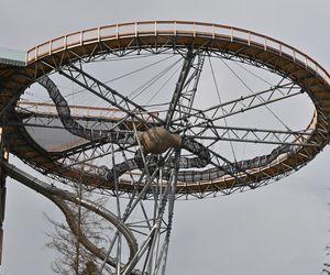SkyWalk - Serce Poronina 