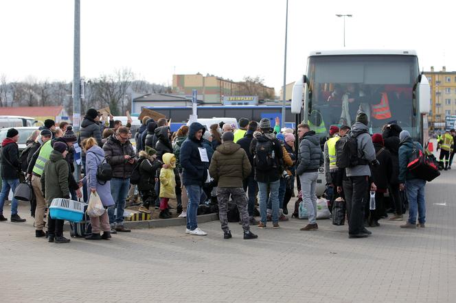 Miasteczko pomocy dla uchodźców z Ukrainy na parkingu w Przemyślu