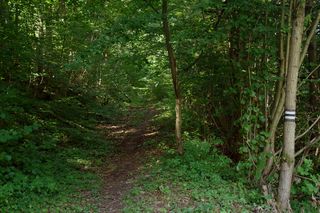  Czarny szlak turystyczny w Ojcowskim Parku Narodowym, fragment od miejscowości Wola Kalinowska 