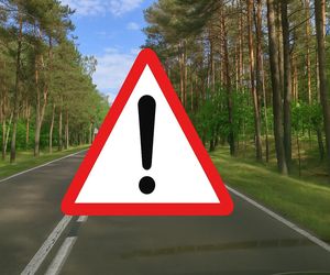 Coś dużego szykuje się na polskich drogach. Wojsko ujawnia szczegóły