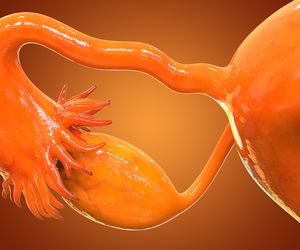 Jajowody – budowa, funkcje, choroby