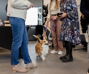 Otwarcie salonu MG Nawrot w Bielanach Wrocławskich