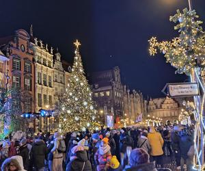 Gdańska choinka rozbłysła. Zobaczcie nasze zdjęcia!