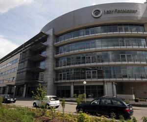 Lasy Państwowe dopuściły się przestępstwa? Koalicja Obywatelska zawiadamia prokuraturę i domaga się dymisji dyrektora