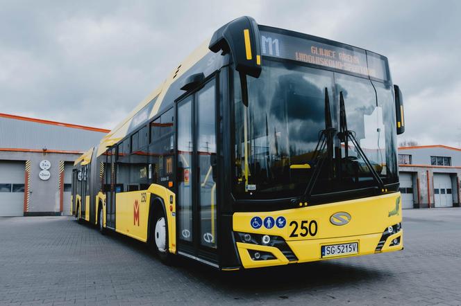 Bezpłatny dojazd na wybory na Śląsku i Zagłębiu. W niedzielę transport za darmo