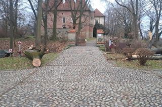 Potężne wichury przechodzą przez Małopolskę. Strażacy interweniowali ponad 120 razy