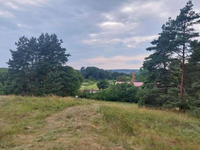 Akcja na polu, gdzie znaleziono Wampirkę z Pnia. Młodzi chodzili z detektorami, niedługo wracają tam archeolodzy
